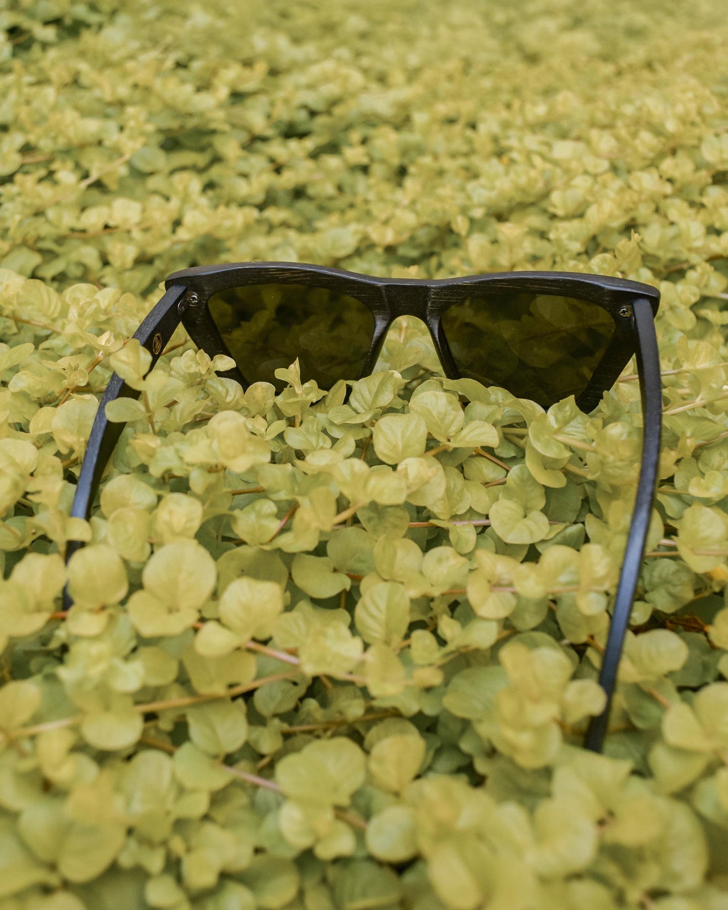 Vintagío | Polarized Bamboo Sunglasses