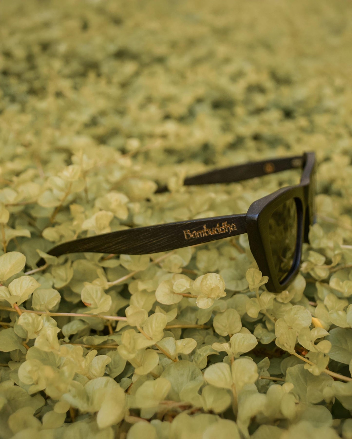 Vintagío | Polarized Bamboo Sunglasses