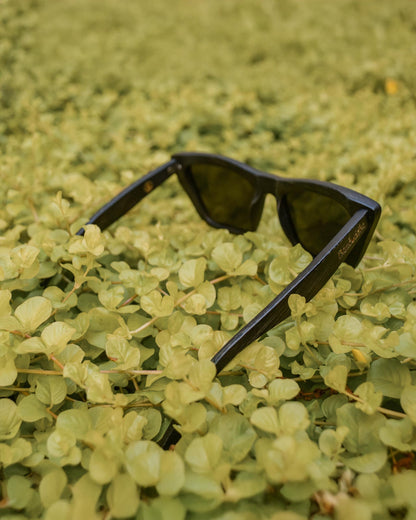 Vintagío | Polarized Bamboo Sunglasses